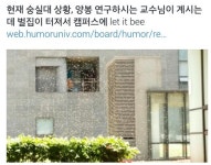 노잼주의 세탁시 유용한 팁스
