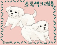 멍멍멍!