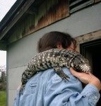 (동물대학) 우리집 동물(태구) - 행복한 유머, 웃긴대학에 오셨습니다 !!