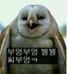 (웃긴자료) 흔한 예비군패션.jpg - 행복한 유머, 웃긴대학에 오셨습니다 !!