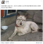 (웃긴자료) 이 시간 현재 진돗개 페북현황.jpg - 행복한 유머, 웃긴대학에 오셨습니다 !!