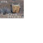 (대기자료) 나는 학력인증 못한다... - 행복한 유머, 웃긴대학에 오셨습니다 !!