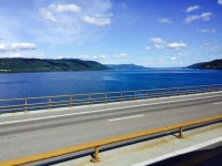 (대기자료) 하스스톤 관전어떻게함? - 행복한 유머, 웃긴대학에 오셨습니다 !!