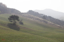 (사진) 운산목장 - 행복한 유머, 웃긴대학에 오셨습니다 !!