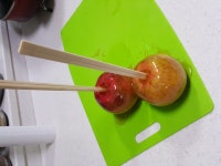 빙고링고원베일리 | (만화) 아메링고 만드는중 - 행복한 유머, 웃긴대학에 오셨습니다 !!