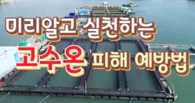 국립수산과학원˃국민소통˃함께하는 국립수산과학원˃수산현장 기술지원>상세보기