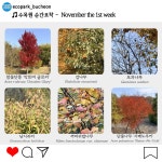 수목원의 꽃과 나무 | 부천무릉도원수목원 | 주요시설 | 자연생태공원