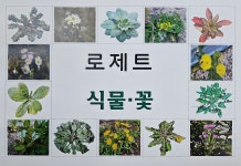 공지사항 | 어울마당 | 자연생태공원
