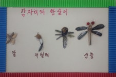 공지사항 | 어울마당 | 자연생태공원