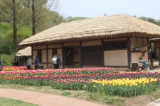 수목원의 꽃과 나무 | 부천무릉도원수목원 | 주요시설 | 자연생태공원