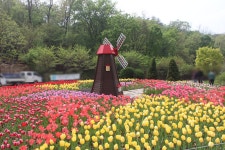 수목원의 꽃과 나무 | 부천무릉도원수목원 | 주요시설 | 자연생태공원