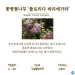 수목원의 꽃과 나무 | 부천무릉도원수목원 | 주요시설 | 자연생태공원