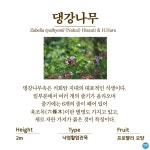 수목원의 꽃과 나무 | 부천무릉도원수목원 | 주요시설 | 자연생태공원