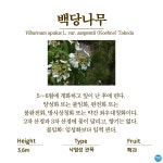 수목원의 꽃과 나무 | 부천무릉도원수목원 | 주요시설 | 자연생태공원