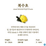 수목원의 꽃과 나무 | 부천무릉도원수목원 | 주요시설 | 자연생태공원