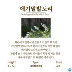 수목원의 꽃과 나무 | 부천무릉도원수목원 | 주요시설 | 자연생태공원