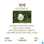 수목원의 꽃과 나무 | 부천무릉도원수목원 | 주요시설 | 자연생태공원