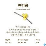수목원의 꽃과 나무 | 부천무릉도원수목원 | 주요시설 | 자연생태공원