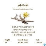 수목원의 꽃과 나무 | 부천무릉도원수목원 | 주요시설 | 자연생태공원