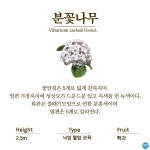 수목원의 꽃과 나무 | 부천무릉도원수목원 | 주요시설 | 자연생태공원