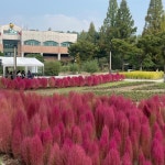 전시 및 행사 | 부천무릉도원수목원 | 주요시설 | 자연생태공원