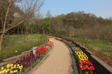 수목원의 꽃과 나무 | 부천무릉도원수목원 | 주요시설 | 자연생태공원