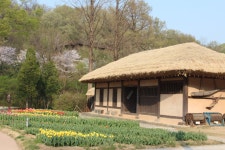 수목원의 꽃과 나무 | 부천무릉도원수목원 | 주요시설 | 자연생태공원