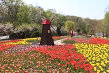 수목원의 꽃과 나무 | 부천무릉도원수목원 | 주요시설 | 자연생태공원