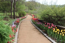 수목원의 꽃과 나무 | 부천무릉도원수목원 | 주요시설 | 자연생태공원