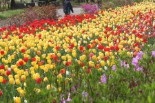 수목원의 꽃과 나무 | 부천무릉도원수목원 | 주요시설 | 자연생태공원