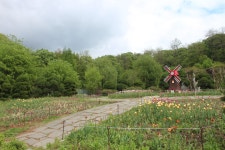 수목원의 꽃과 나무 | 부천무릉도원수목원 | 주요시설 | 자연생태공원