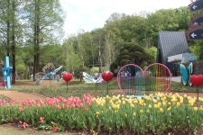 수목원의 꽃과 나무 | 부천무릉도원수목원 | 주요시설 | 자연생태공원