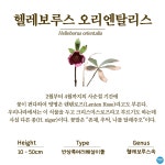 수목원의 꽃과 나무 | 부천무릉도원수목원 | 주요시설 | 자연생태공원