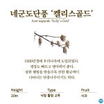 수목원의 꽃과 나무 | 부천무릉도원수목원 | 주요시설 | 자연생태공원