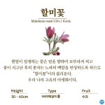 수목원의 꽃과 나무 | 부천무릉도원수목원 | 주요시설 | 자연생태공원