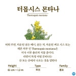 수목원의 꽃과 나무 | 부천무릉도원수목원 | 주요시설 | 자연생태공원