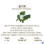 수목원의 꽃과 나무 | 부천무릉도원수목원 | 주요시설 | 자연생태공원