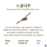 수목원의 꽃과 나무 | 부천무릉도원수목원 | 주요시설 | 자연생태공원