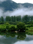한겨레 환경생태 전문 웹진 - 물바람숲 - [포토포엠] 강마을 어부 [포토포엠] 강마을 어부