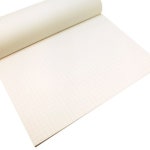 퍼스트 리포트 B4【모눈】 G1307