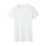 (군제)GUNZE YG(와이 G) COTTON 100%시리즈/ALL SEASON 크루 넥T셔츠 :: 유니박스