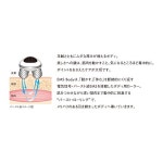 INBEAUTE EMS Body Set(인 bow《데》 E M 에스 바디 세트)