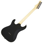 [해외] 아리아 프로II 전기 기퍼터 FL-STD2 ABK 올 블랙 피니쉬 애쉬보디 MADE IN USA PU EMG SA 픽업 탑재