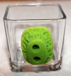 2015겨울 climber를 위한 머그컵 Made in USA 그린 A0002