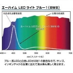 [해외] A eheim 에하임 LED라이트 블루1(BWB)