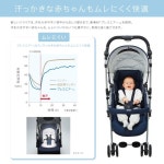 아프리카 소라리아 SORARIA<2013モデル>