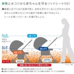 아프리카 소라리아 SORARIA