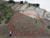 강남구청 인터넷수능방송