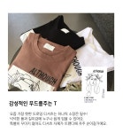 [아네스T(66-110)]