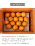 [초록팜] 대봉시 특(2L) 5kg/17-20개(개당250g이상)[실중량] - NS홈쇼핑  [초록팜] 대봉시 특(2L) 5kg/17-20개(개당250g이상)[실중량]... 
